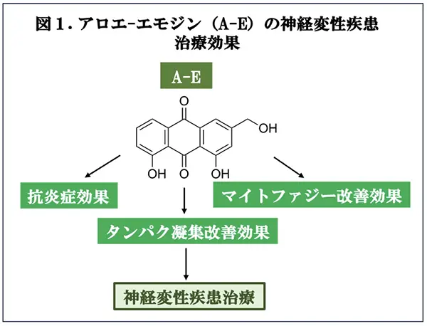 図1.