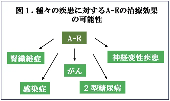 図1.