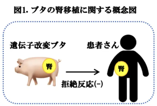 図1.