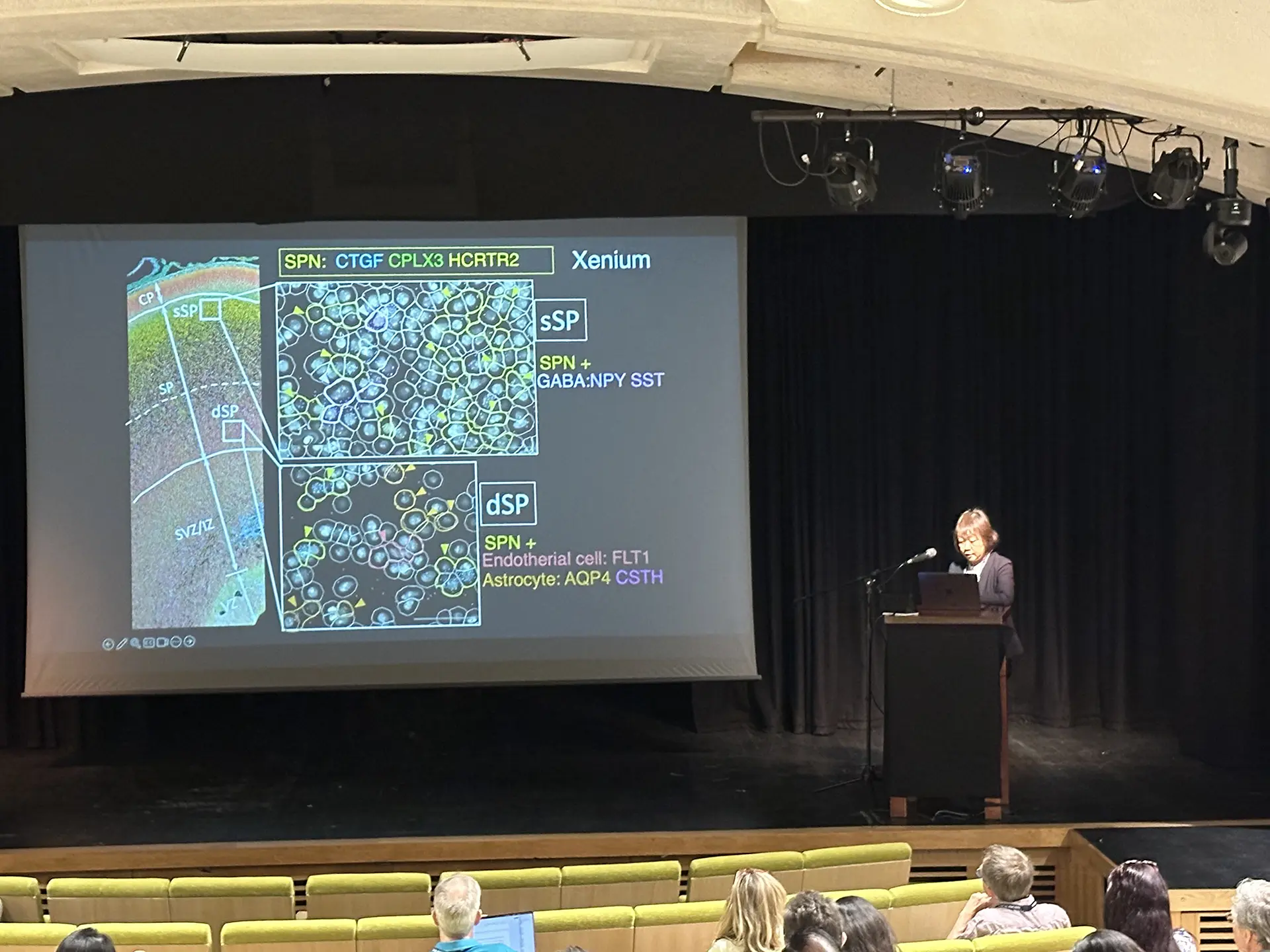 The Anatomical Society Summer Meeting