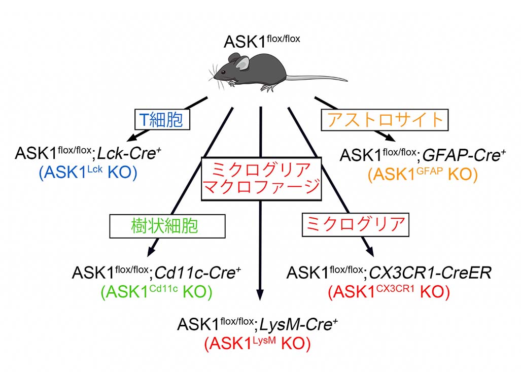 図1