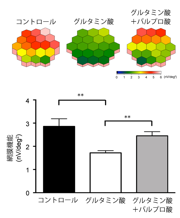 図２：バルプロ酸による視機能の改善効果