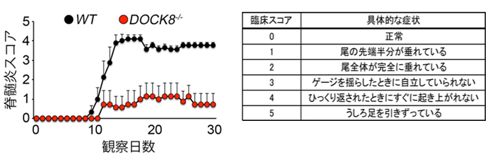 図1グラフ