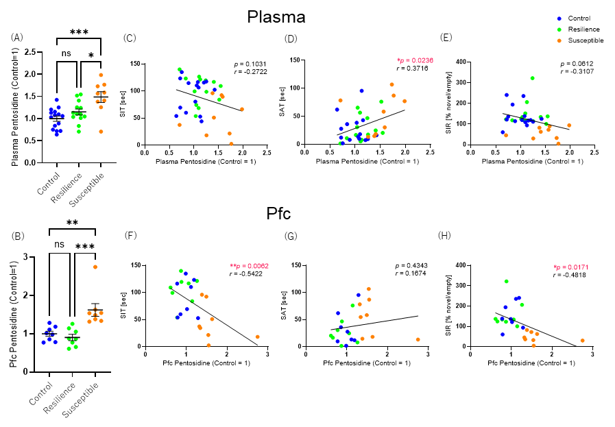 Figure 2: Relationship Between Stress-Induced Social Behavior Changes and Pentosidine Levels in Plasma and the Prefrontal Cortex (Pfc)