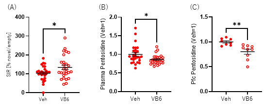 Figure 3: Improvement of Social Behavior and Pentosidine Accumulation by Pyridoxamine in the SDS Model