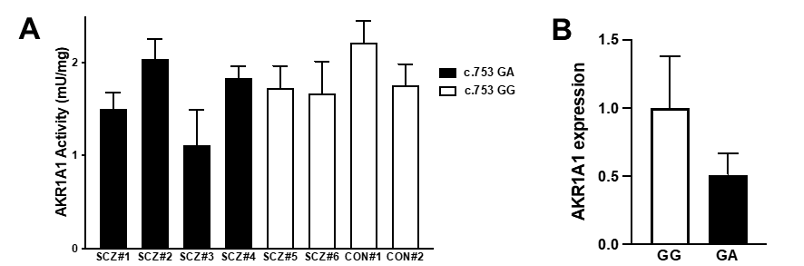 図3: ヒトにおけるAKR酵素活性及びAKR1A1遺伝子発現