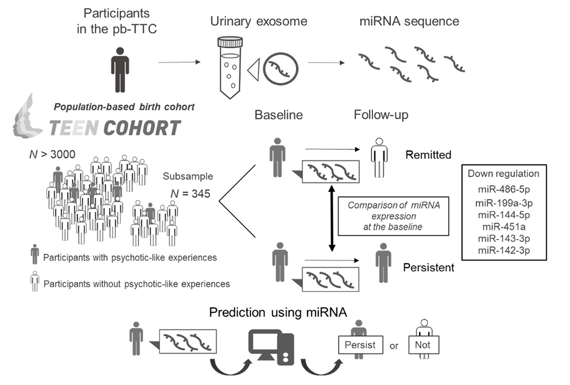 Figure 1. Overview. Six miRNAs in urinary exosomes that were significantly altered in adolescents with persistent PLEs.