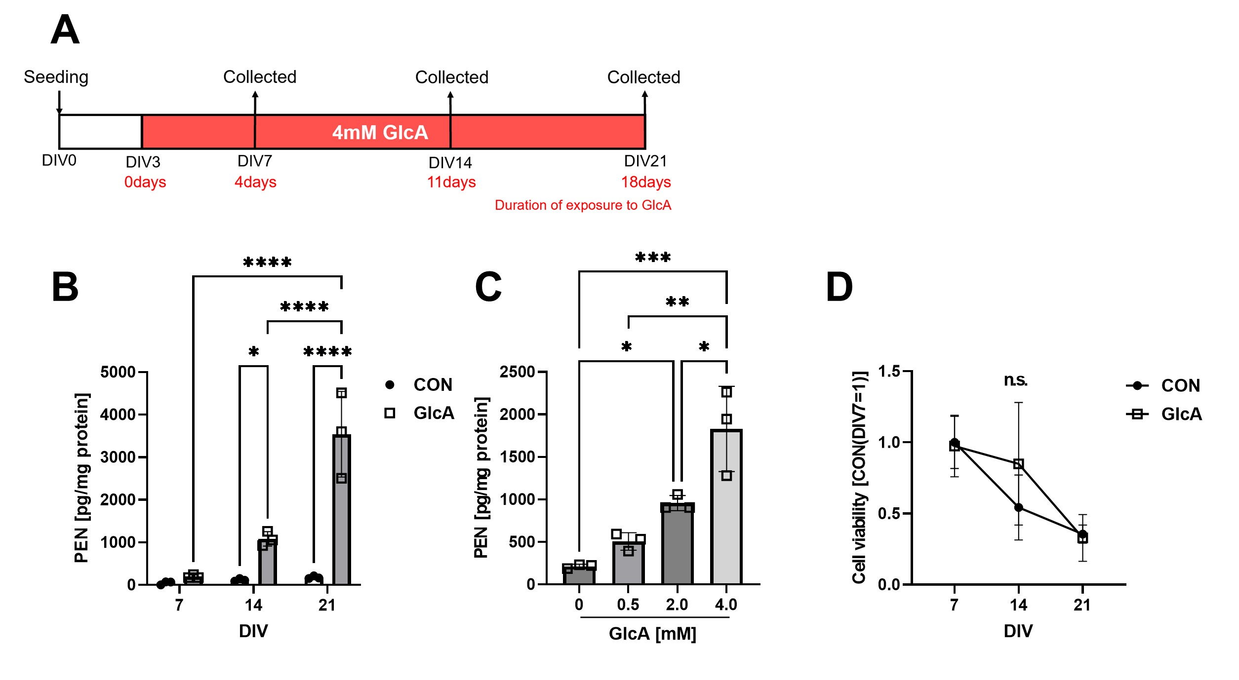 Figure 1. Establishment of a neuronal model of PEN accumulation
