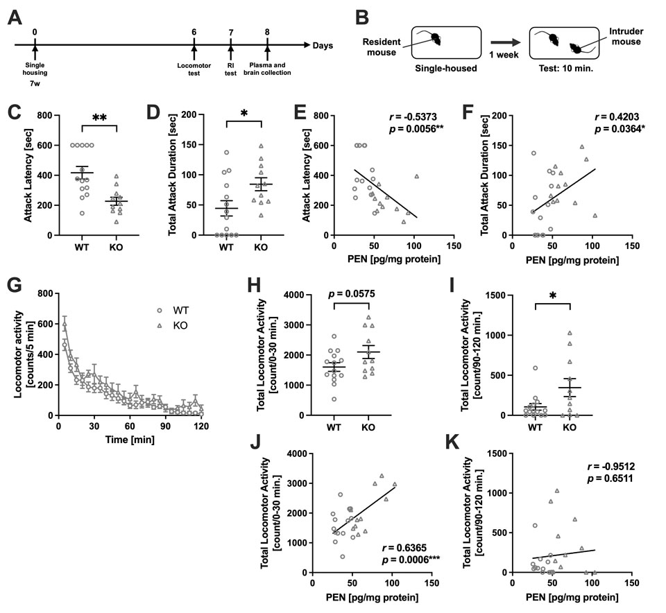Fig. 2: Aggressive behavior and locomotor activity in Akr1a KO mice.