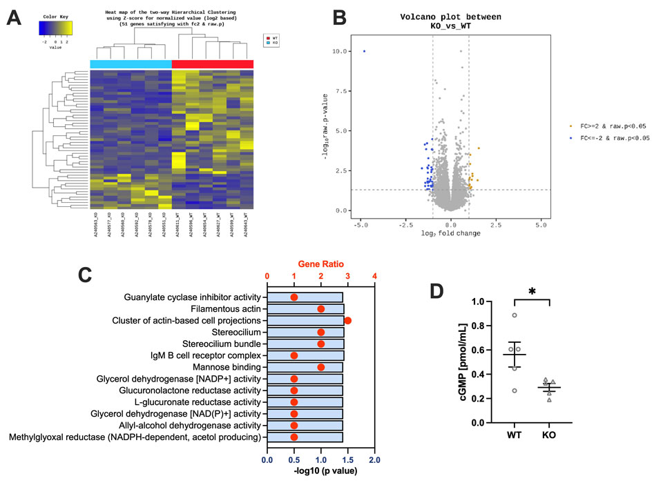 Fig. 3. Transcriptomic analysis of the Pfc in WT and Akr1a KO mice.