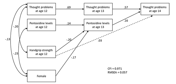 Figure 2: Path diagram describing the indirect effect between handgrip strength and thought problems via pentosidine.