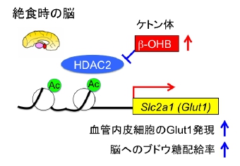 GTC20Fig