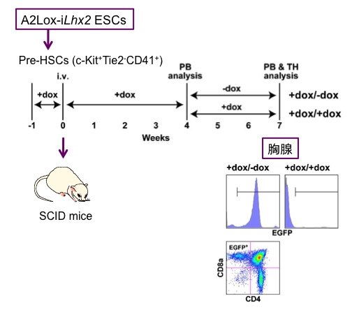 GTC20figure