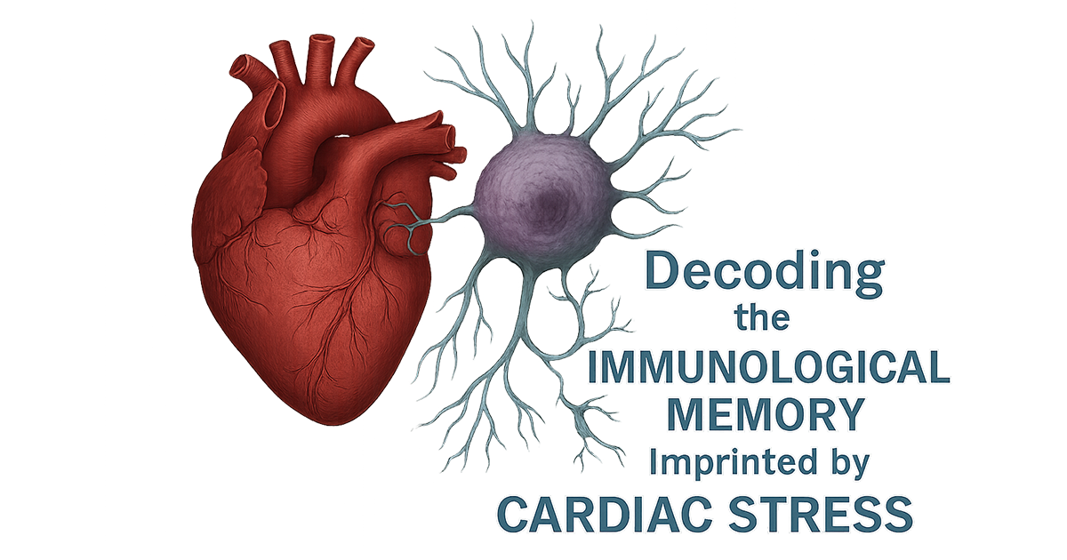 心不全プロジェクト Stress-imprinted Immunity Project