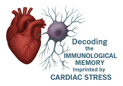 心不全プロジェクト ロゴ