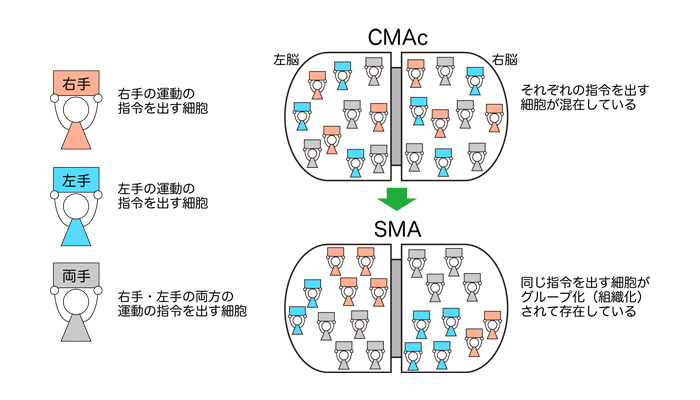 図４：まとめ