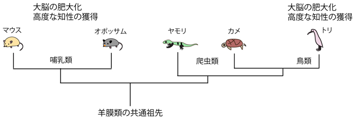 参考図