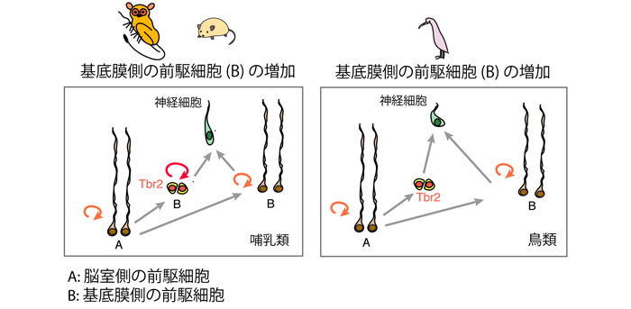 参考図