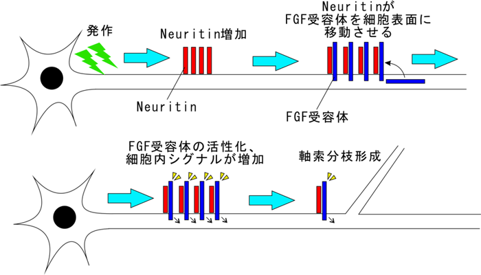 図2