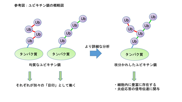 図1