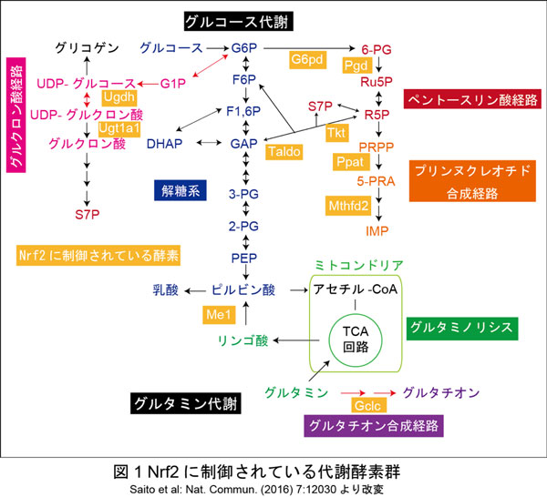 図1