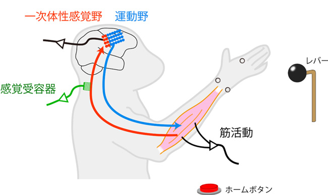 図1