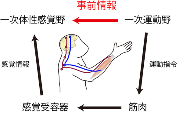 図4