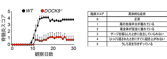 図1