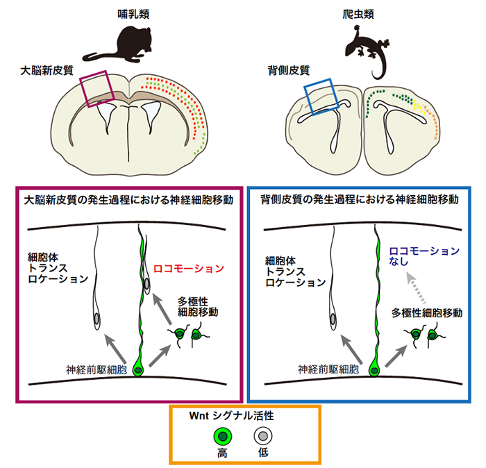 図2.