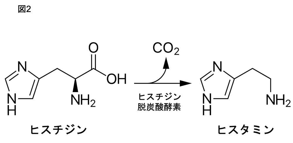 図2.