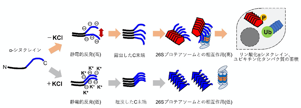 図2