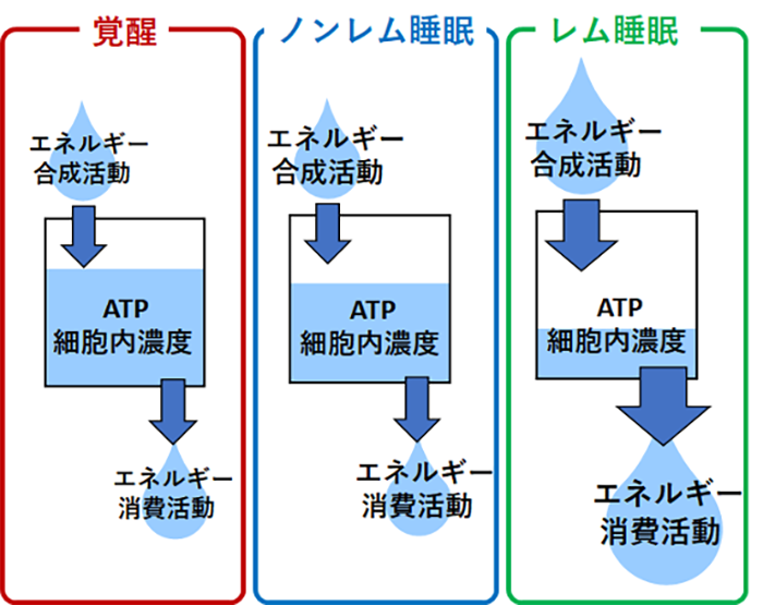 図2.