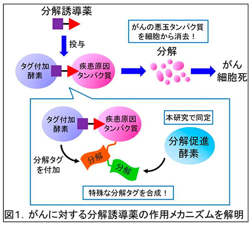 図1