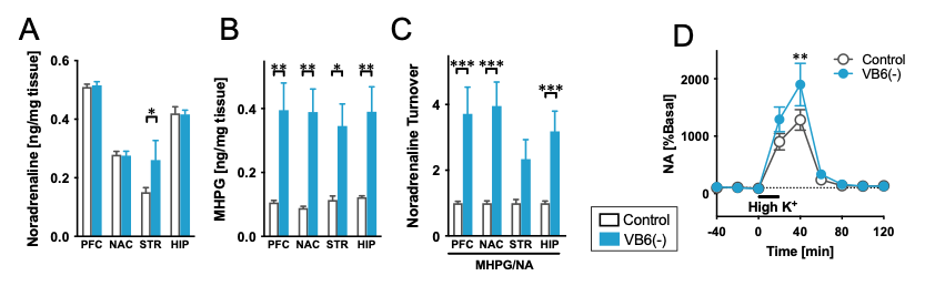 Fig. 2: Enhanced noradrenergic system in VB6(-) mice