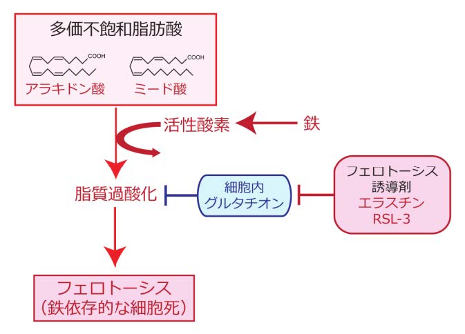 図2