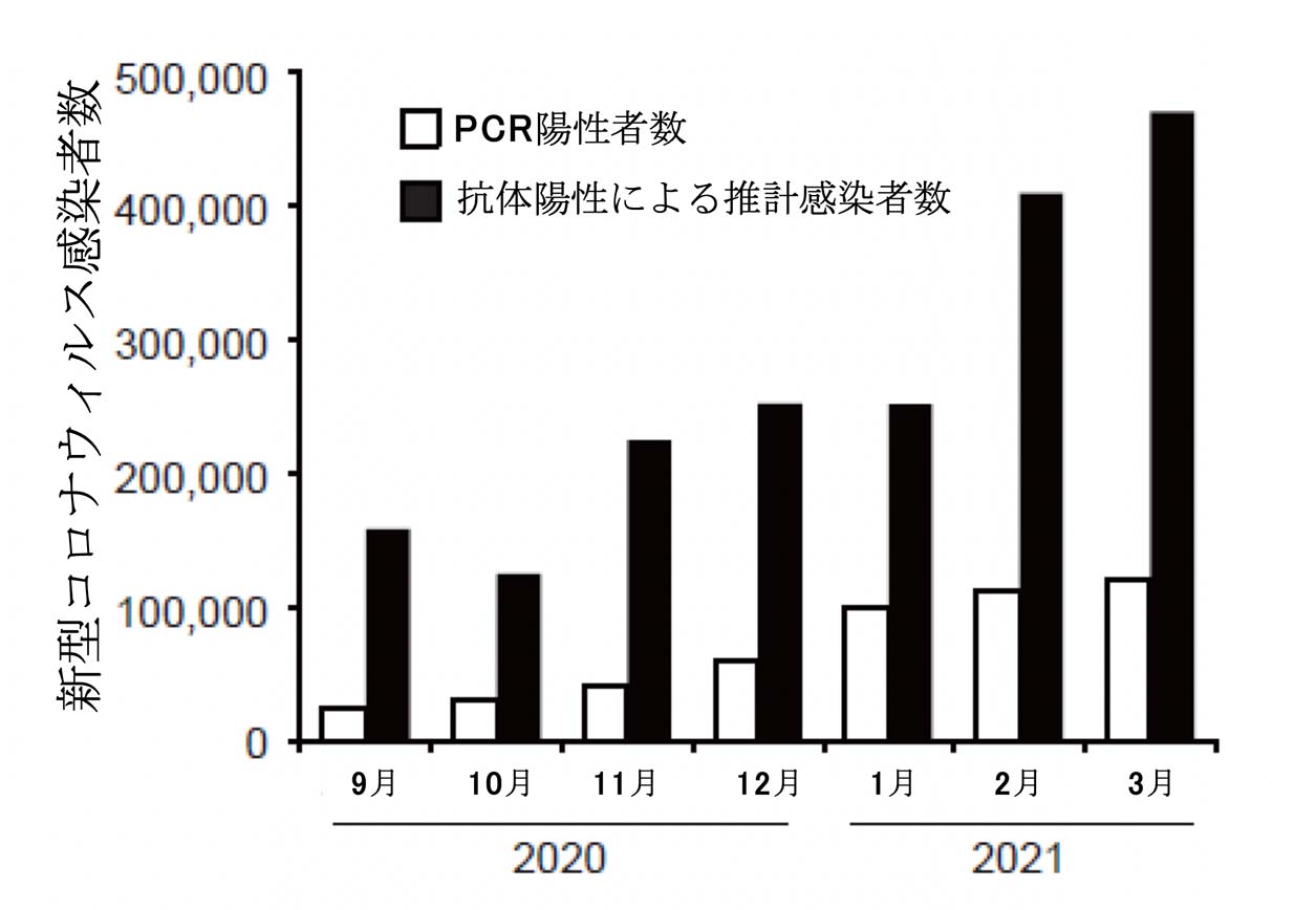 図2．新型コロナの抗体陽性者とPCR陽性者数