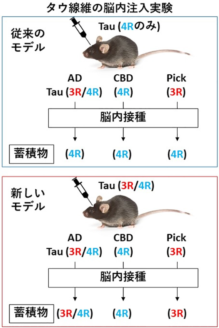 図5