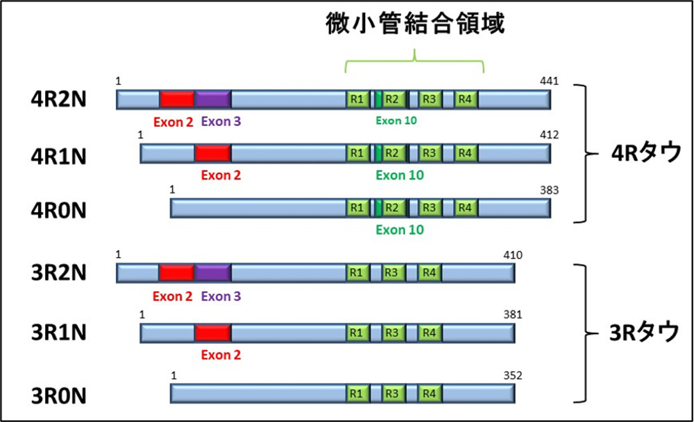 図6