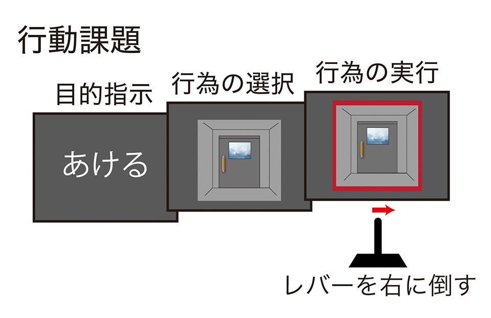 図2:行動課題のイメージ図