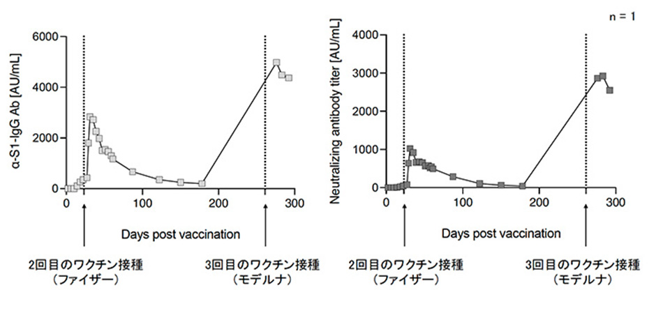 ワクチン接種後の抗体価の推移