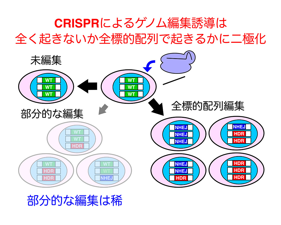 本研究の概要