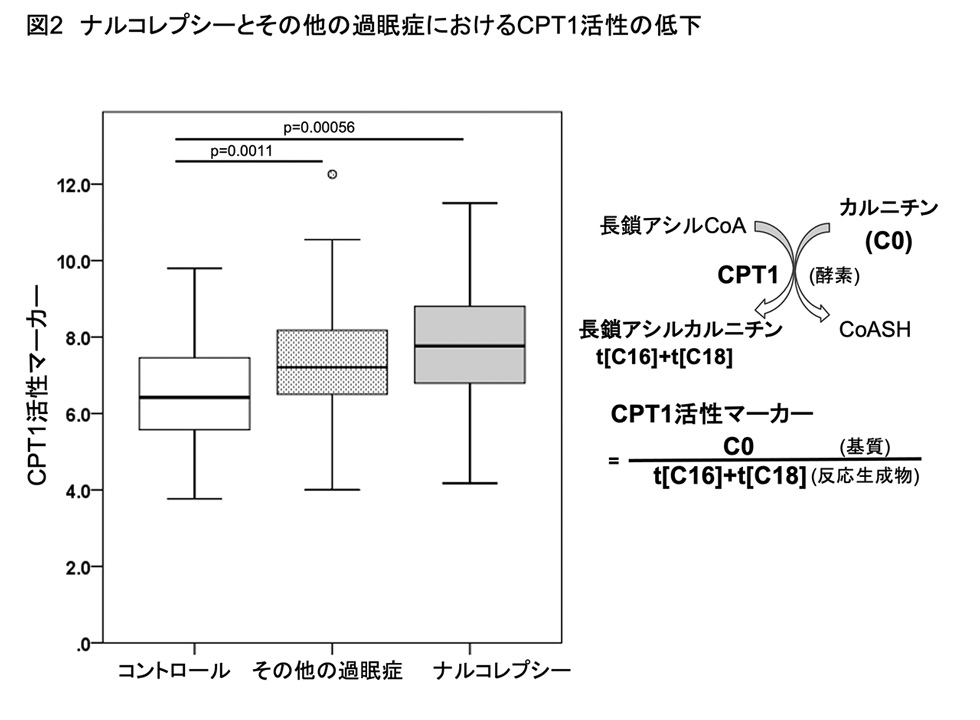 図2 ナルコレプシーとその他の過眠症におけるCPT1活性の低下