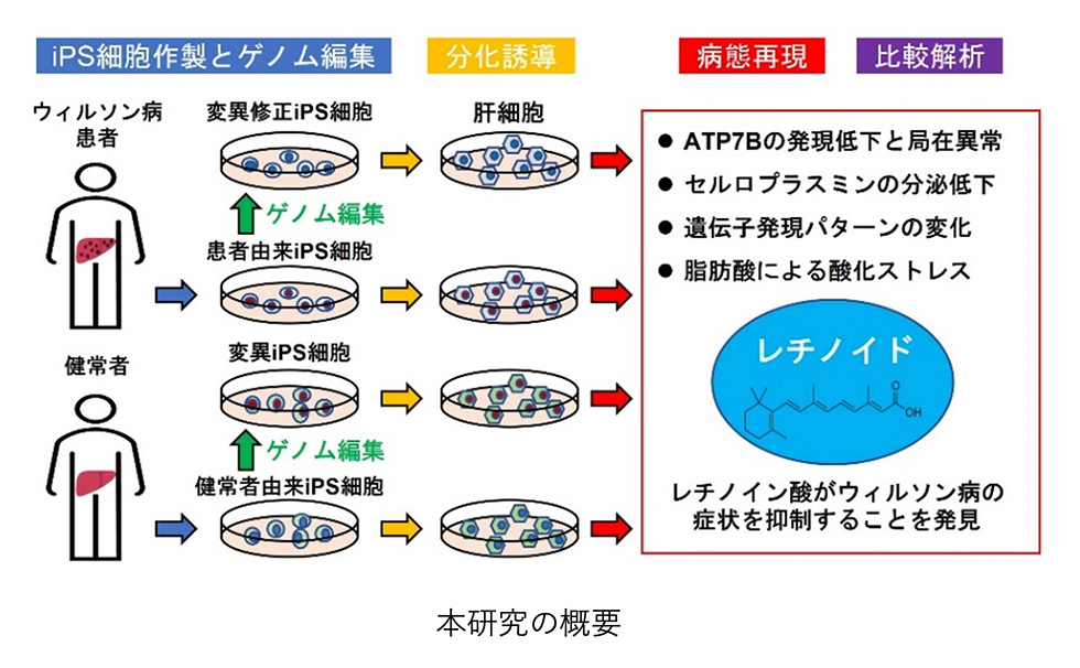 本研究の概要