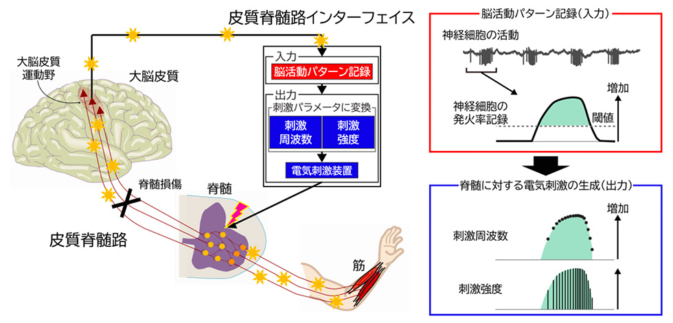 図1