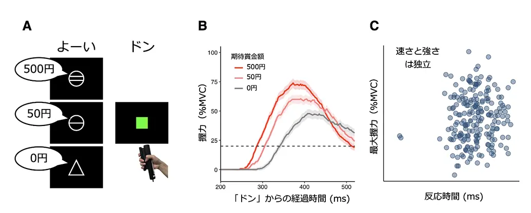 図2.「よーい・ドン」で握る行動課題では、意欲に応じて反応の速さも強さも変わる。