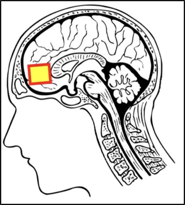 図1：MRS関心領域（模式図）