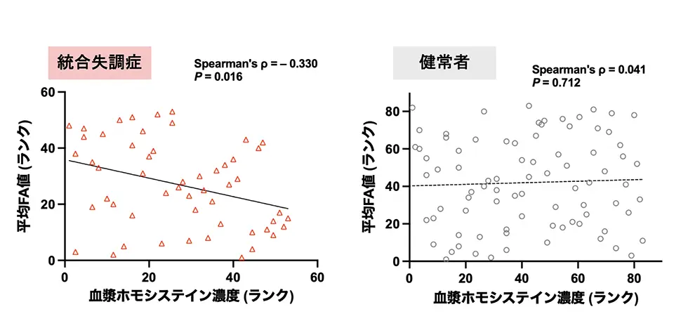 図2.統合失調症における血漿ホモシステイン濃度とFA値との関連