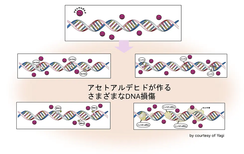 図3