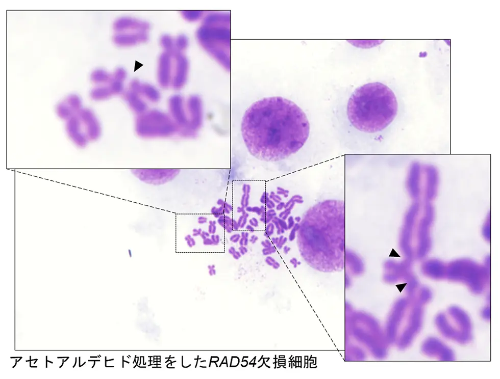 図4