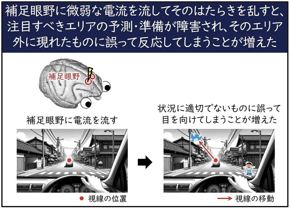 図5